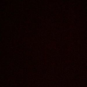 Meet your Posher, Caleigh